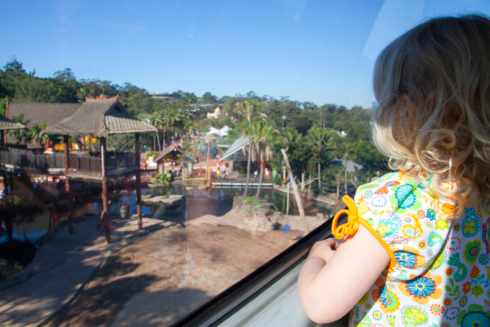 A Guide to #Taronga Zoo With Little Kids #Sydney via brunchwithmybaby.com