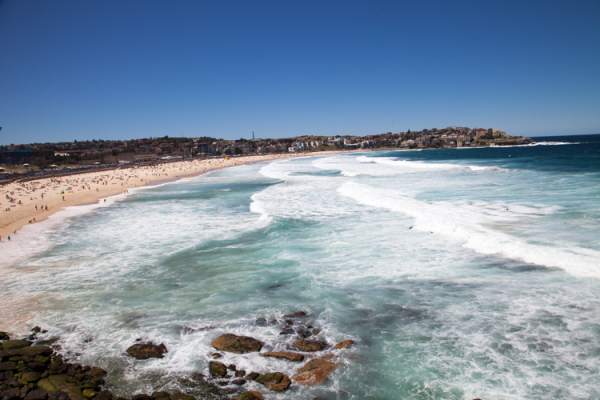 The Best Free Things To Do In Sydney - Adventure, baby!