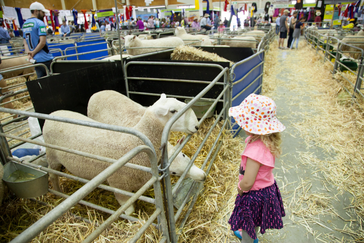 Image result for easter show indoor nursery