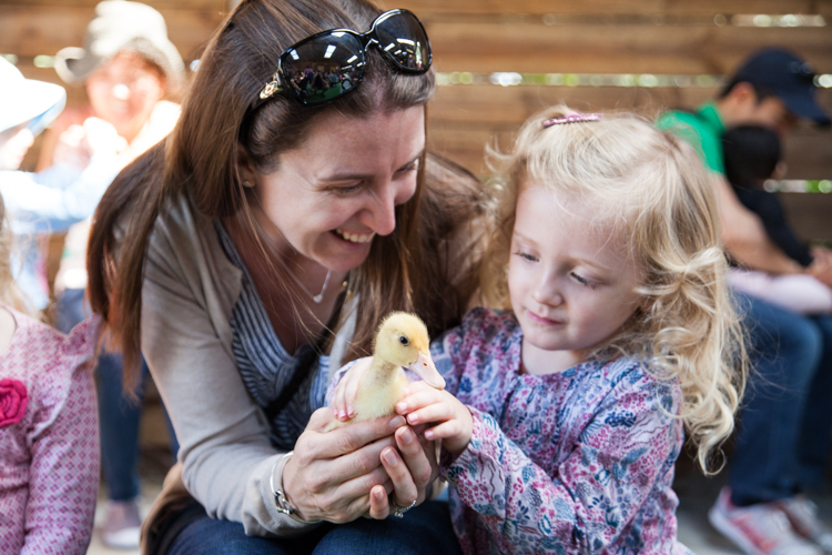 Golden Ridge Animal Farm #Sydney via christineknight.me