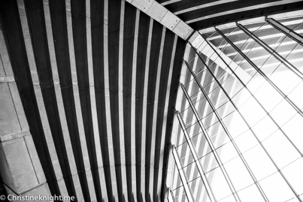 Sydney Opera House Open Day - Adventure, baby!