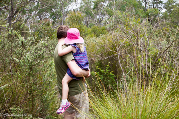 Tips for Bushwalking with Preschoolers - Adventure, baby!