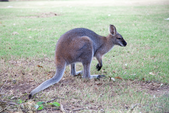 Central Gardens, Merrylands: The best of southwest Sydney for families via christineknight.me