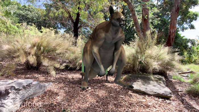 Australian Botanic Garden, Mount Annan, Australia