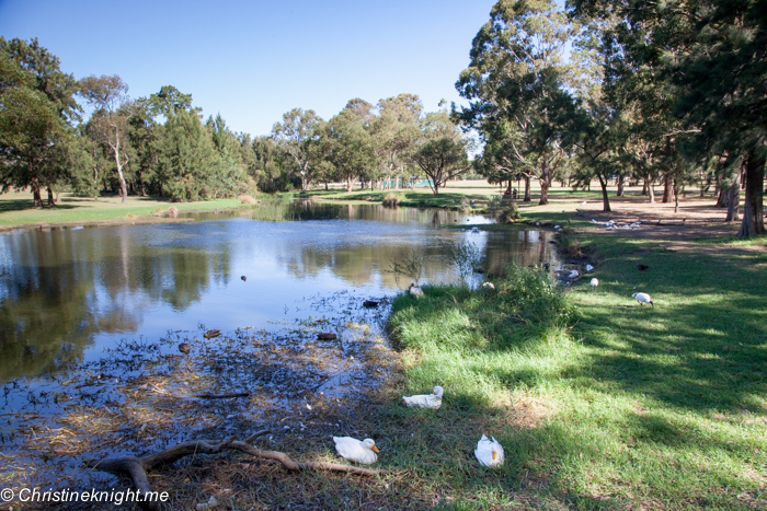 Domain Creek Playground, Parramatta Park: The best of southwest Sydney for families