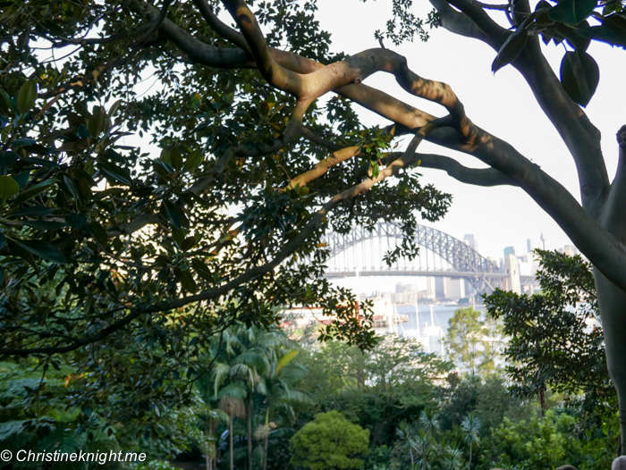 Wendy's Secret Garden, Sydney via christineknight.me