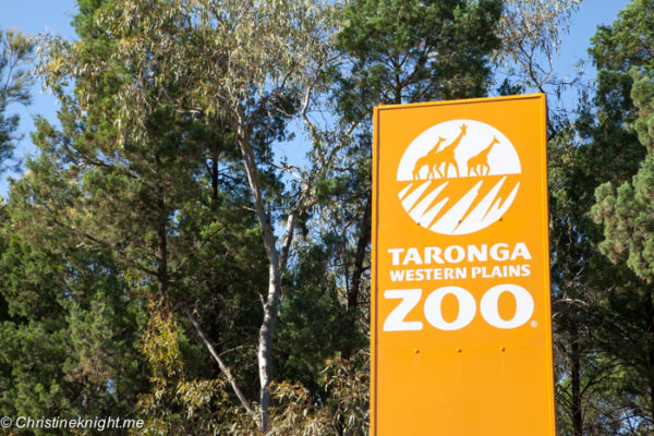 Top Tips For Visiting Taronga Western Plains Zoo Dubbo - Adventure, baby!