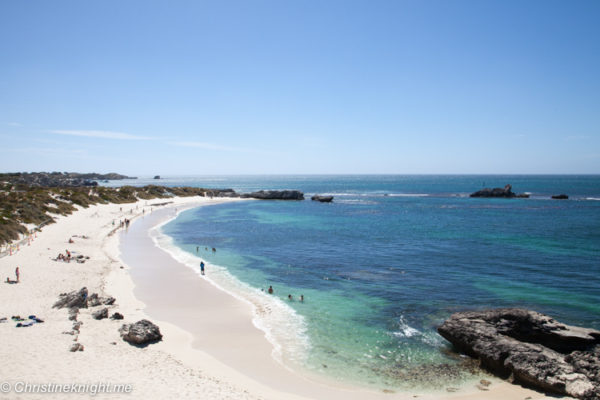 Rottnest Island Day Trip, Perth, Western Australia - Adventure, baby!
