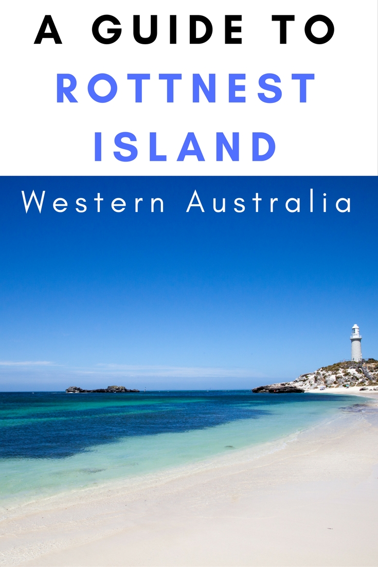 Rottnest Island, Western Australia | quokkas | Australia