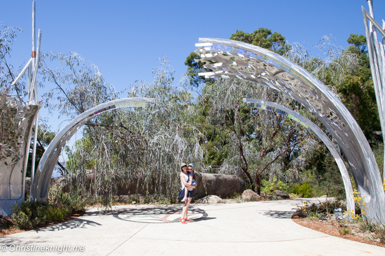 Kings Park And Botanic Gardens Perth