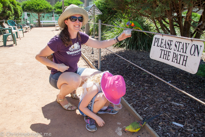 Canberra Walk-In Aviary, Australia