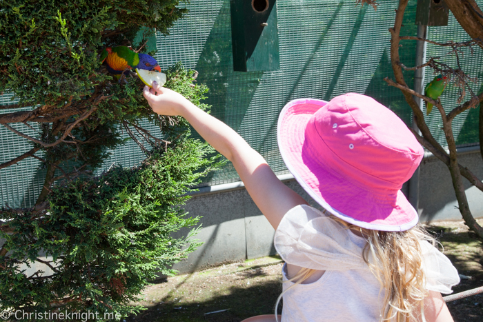 Canberra Walk-In Aviary, Australia