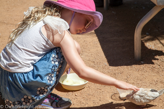 National Gallery of Australia, Canberra