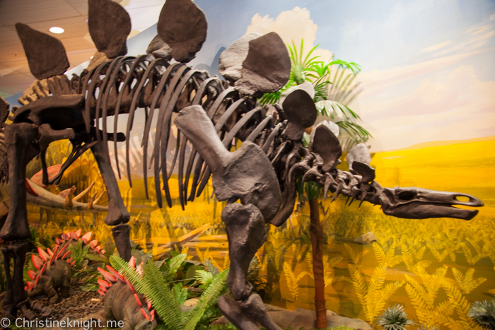 National Dinosaur Museum, Canberra, Australia