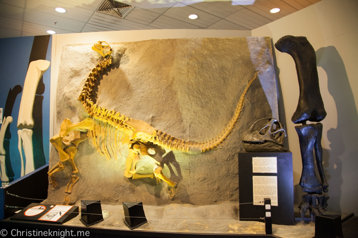 National Dinosaur Museum, Canberra, Australia