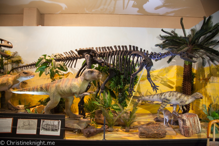 National Dinosaur Museum, Canberra, Australia