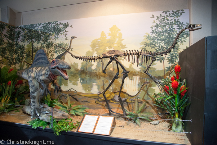 National Dinosaur Museum, Canberra, Australia