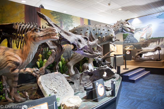 National Dinosaur Museum, Canberra, Australia