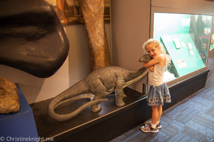 dinosaur in national history museum