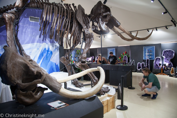 National Dinosaur Museum, Canberra, Australia