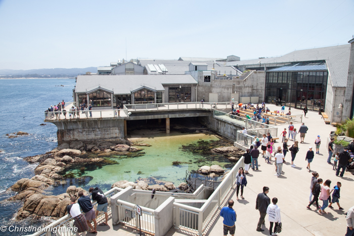 Monterey Bay Aquarium, Monterey, California, USA