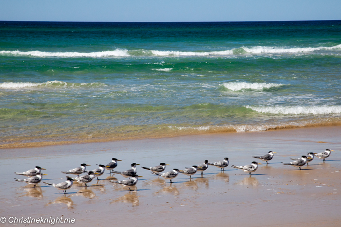 Great Beach Drive, Queensland, Australia