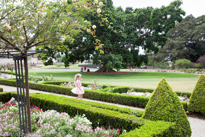 Royal Botanic Gardens, Sydney