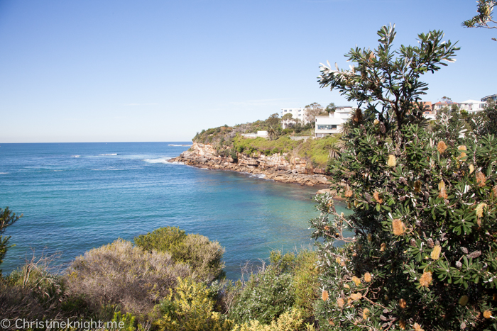 Gordons Bay Clovelly Sydney