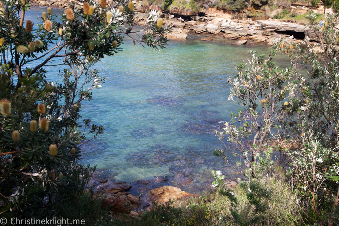 Gordons Bay Clovelly Sydney