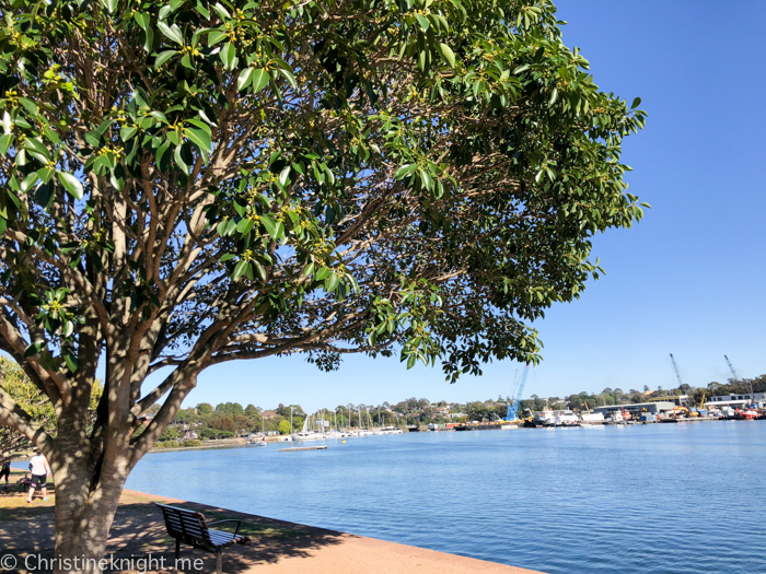 Jubilee Park, Glebe