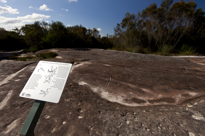 Ku-rin-gai Chase National Park, Sydney, Australia 