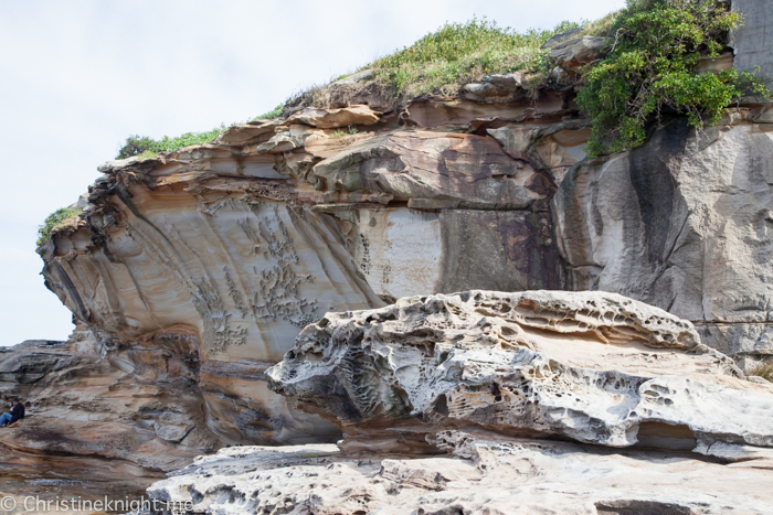 La Perouse Bare Island