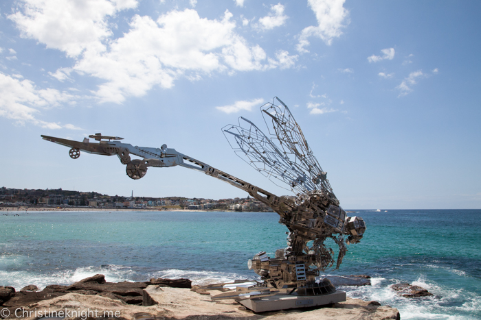 Sculpture by the Sea, Bondi, Sydney, 2017