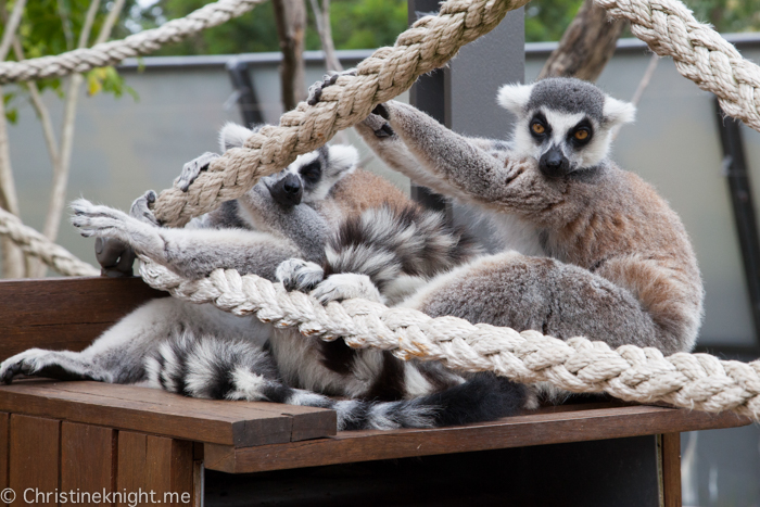 Taronga Zoo, Sydney, Australia