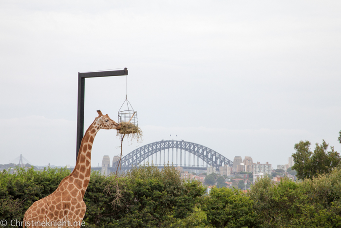 Taronga Zoo, Sydney, Australia