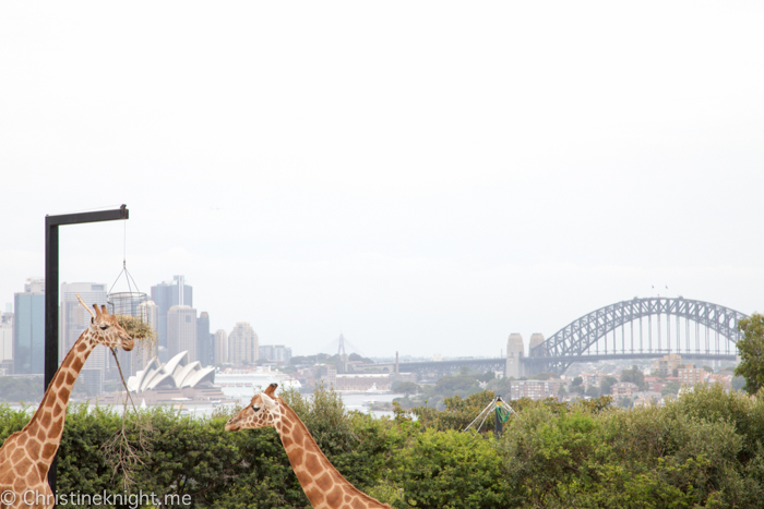 Taronga Zoo, Sydney, Australia