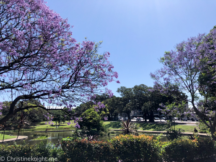 Victoria Park, Camperdown