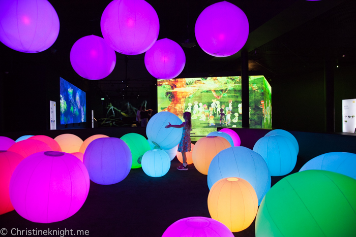 teamLab FUTURE PARK at the Powerhouse Museum