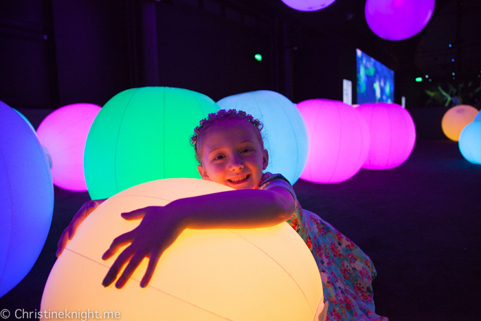 teamLab FUTURE PARK at the Powerhouse Museum