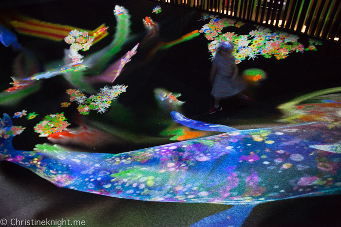 teamLab FUTURE PARK at the Powerhouse Museum