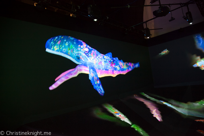 teamLab FUTURE PARK at the Powerhouse Museum