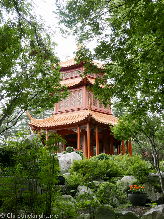 Chinese Friendship Gardens Darling Harbour, Sydney, Australia