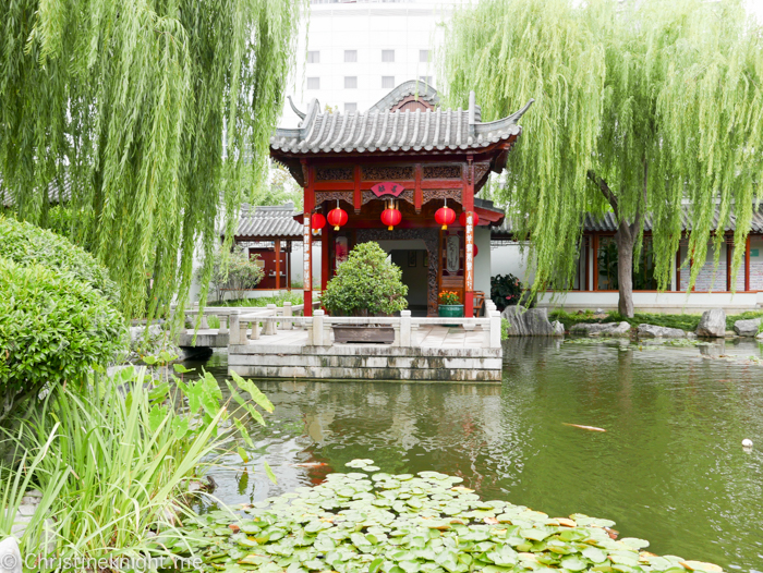 Chinese Friendship Gardens Darling Harbour, Sydney, Australia