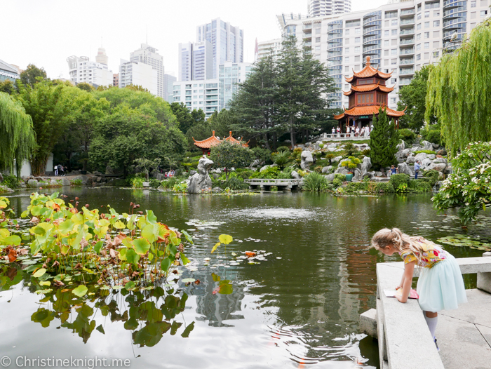 Chinese Friendship Gardens Darling Harbour, Sydney, Australia