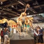 Places To Visit In Melbourne: Melbourne Museum