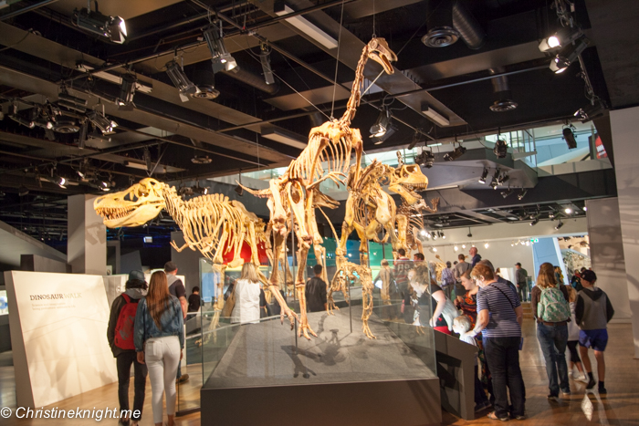 Melbourne Museum, Victoria, Australia