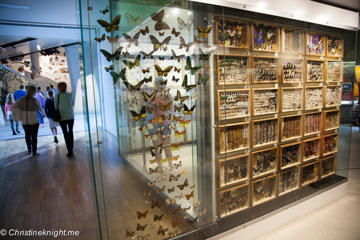 Melbourne Museum, Victoria, Australia