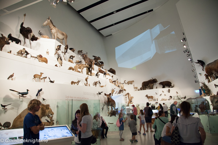 Melbourne Museum, Victoria, Australia