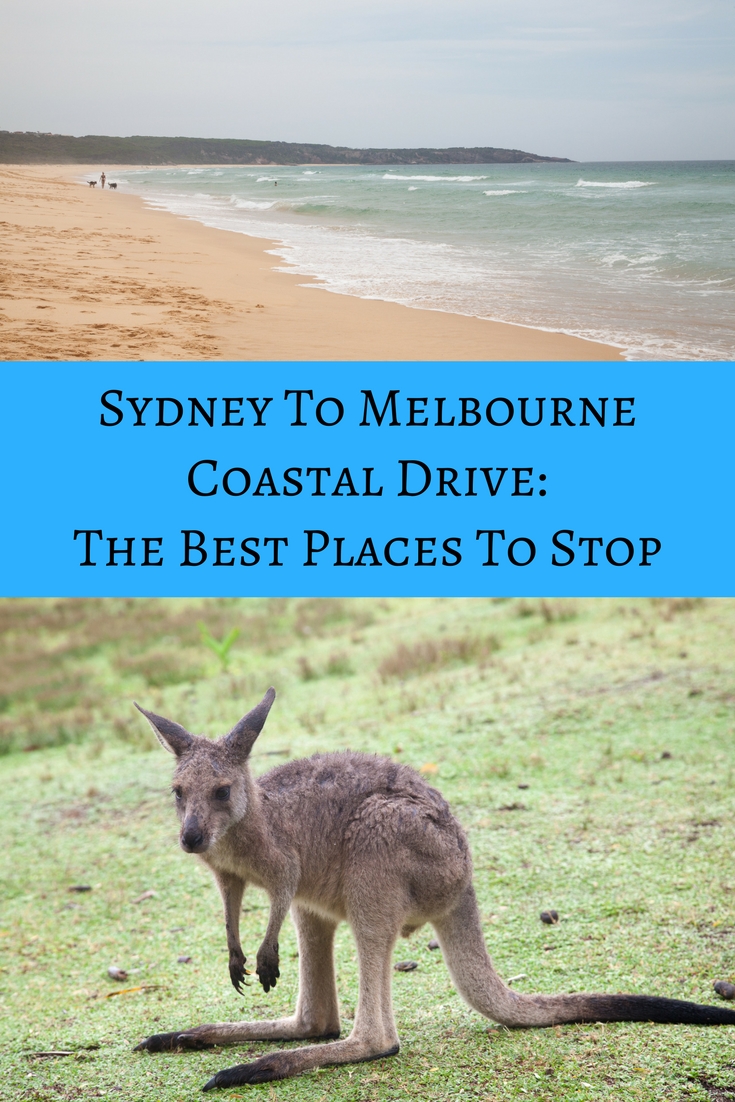 Where To Stop On The Sydney to Melbourne Coastal Drive