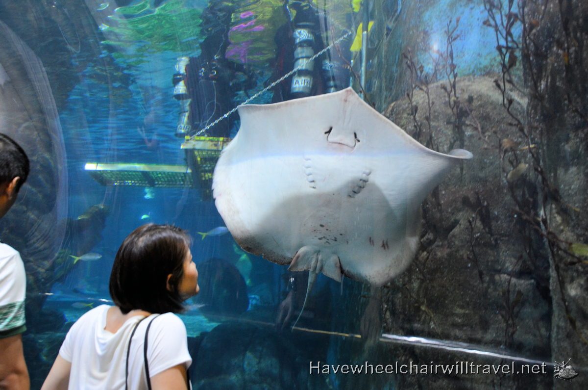 SEA LIFE Melbourne Aquarium